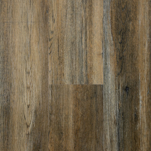 Fortress - Drawbridge