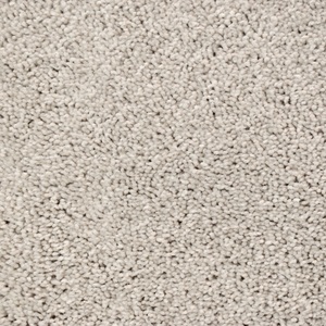 Presidential Solid - Sugar Cookie