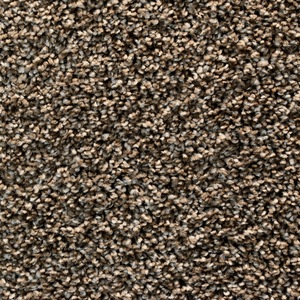 Revelation - Foremost