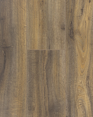 Trendline Pro - Bahamas Oak