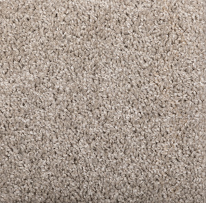 Momentum - Jetstream