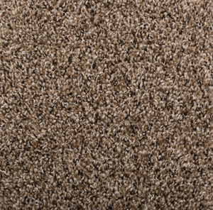 Momentum - Island Spice