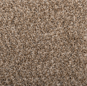 Momentum - Sienna Sand