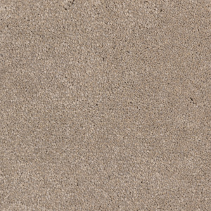 Mystical  - Rocky Shore