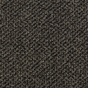 Enduring II - Aurora Borealis