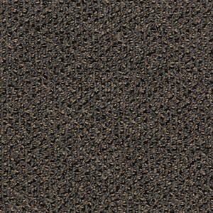 Enduring II - Taj Mahal