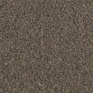 Performer II - Birch Grey