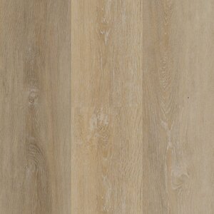 Miracle - Sandy Shore