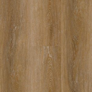 Miracle - Autumn Sunrise