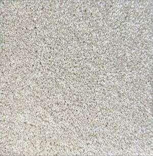 Homage - Sand Dollar