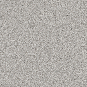 Graceful - Sand Dollar