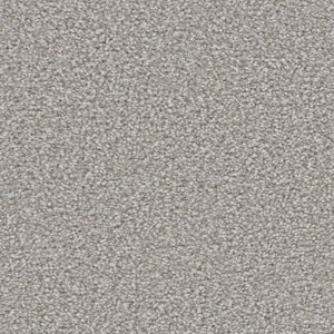 Graceful - Conch Shell