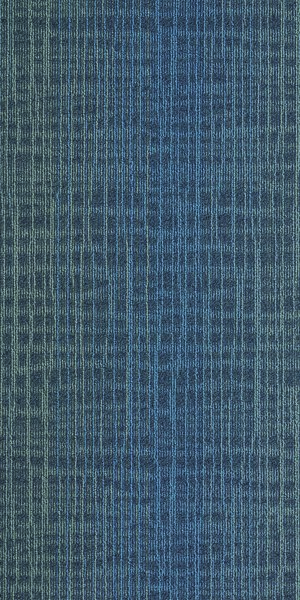 Metaphor - Nocturnal