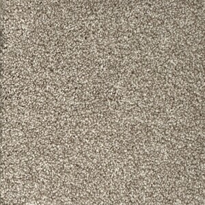 Alpine - In the Buff